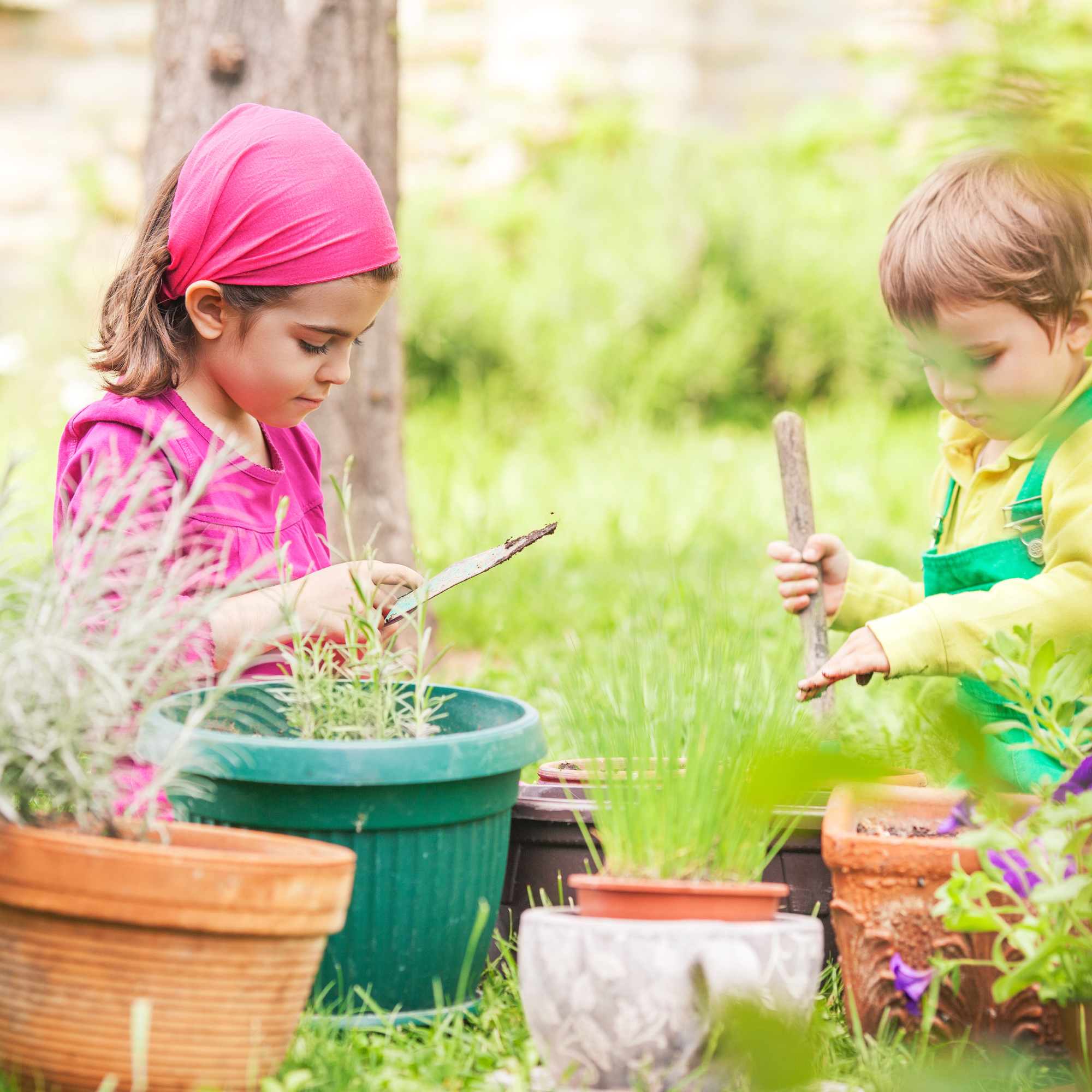 Abrazando la maravilla del estudio de la naturaleza Montessori